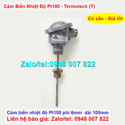 Cảm biến nhiệt độ Pt100 phi 6 dài 100mm Termotech